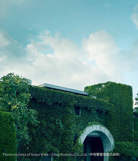 Grace Koshu | Decanter Platinum White Wine