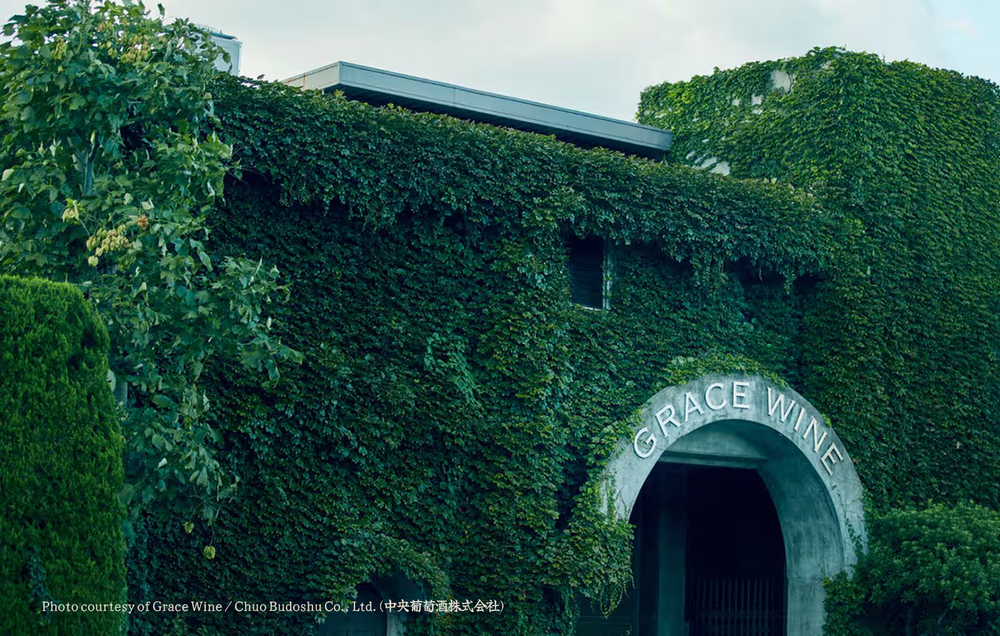 Everything You Need to Know About Grace Wine Japan