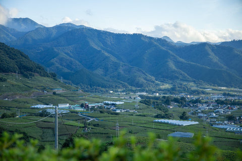 Farmland and greenhouses spread across a Japanese mountain valley