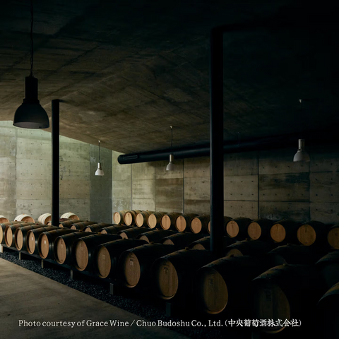 Maturing in the Grace cellar. Photo: Grace Wine (Chuo Budoshu).